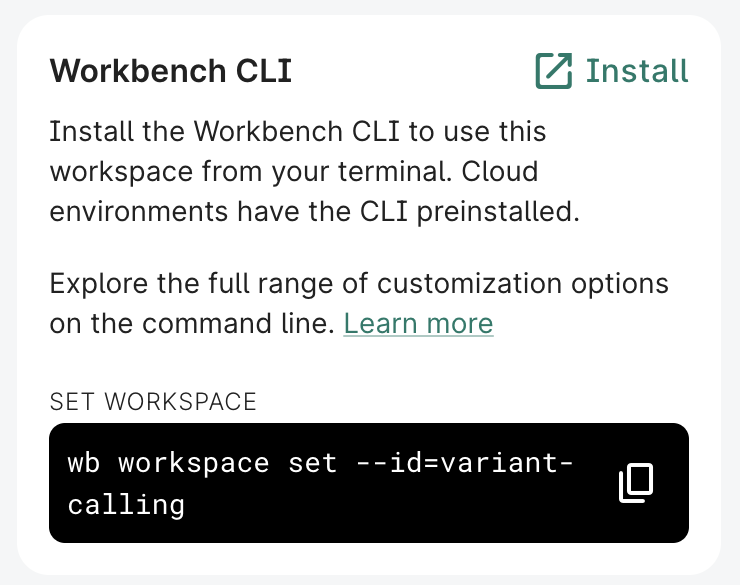 Screenshot of Workbench CLI panel showing terminal command to set a specified workspace on your local machine.