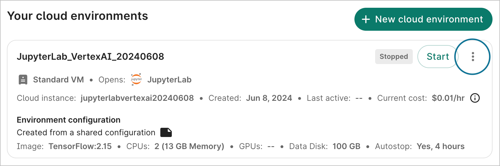 Screenshot of a cloud environment's details card, with the three-dot menu highlighted in the top right corner.