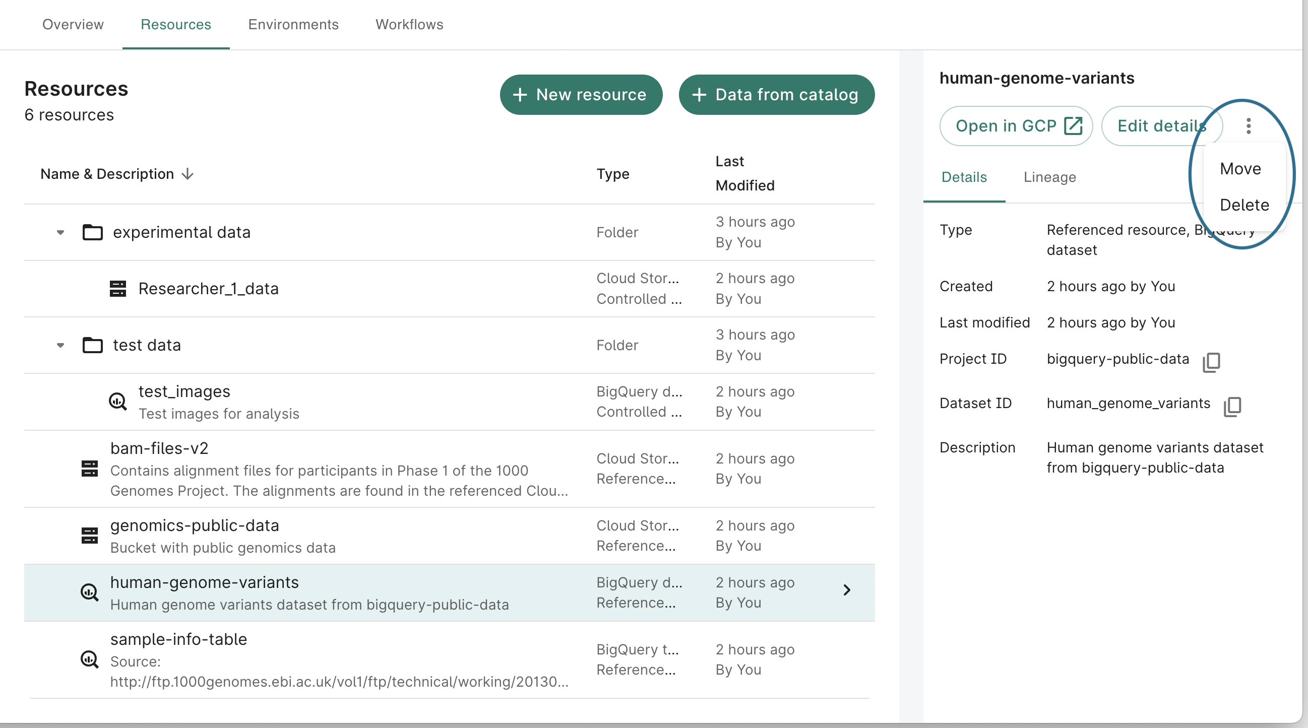 Screenshot of a workspace's Resources tab, showing a list of resources and a BigQuery dataset's details, with the Move and Delete options highlighted.